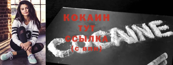 метадон Богородицк