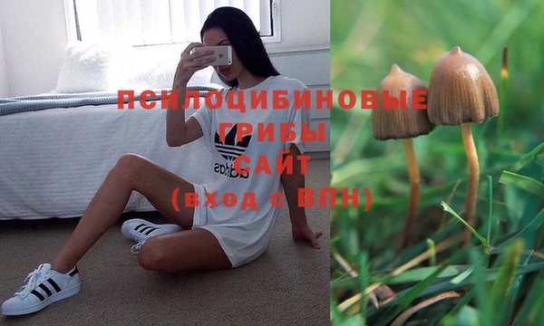 a pvp Богданович