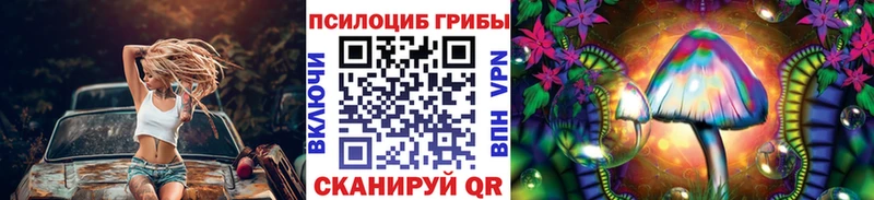 mega рабочий сайт  наркотики  Киренск  Галлюциногенные грибы мицелий 